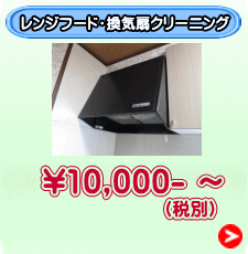 （税別）