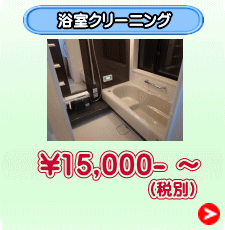 （税別）