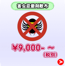 （税別）