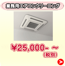 （税別）