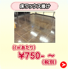 （１㎡あたり）