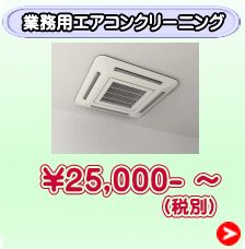 （税別）