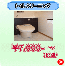 （税別）