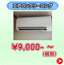 （税別）